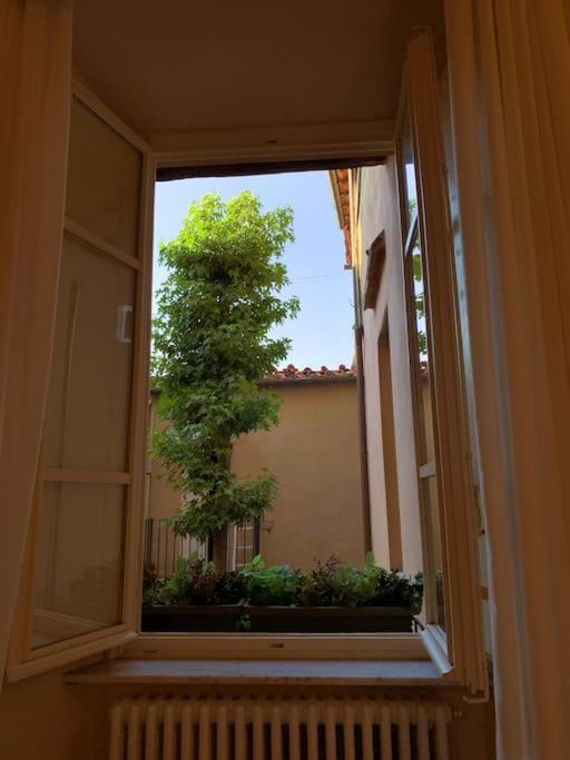 Via Nuova Apartments Lucca Exterior foto
